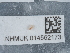  ( - NHMUK014562173)  @11 [ ] Unspecified (default): All Rights Reserved  Unspecified Unspecified