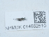  ( - NHMUK014562510)  @11 [ ] Unspecified (default): All Rights Reserved  Unspecified Unspecified
