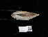  ( - NHMUK014562547)  @11 [ ] Unspecified (default): All Rights Reserved  Unspecified Unspecified