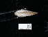  ( - NHMUK014562548)  @11 [ ] Unspecified (default): All Rights Reserved  Unspecified Unspecified