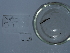  ( - NHMUK014562549)  @11 [ ] Unspecified (default): All Rights Reserved  Unspecified Unspecified