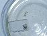  ( - NHMUK014562549)  @11 [ ] Unspecified (default): All Rights Reserved  Unspecified Unspecified