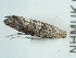  ( - NHMUK014584865)  @11 [ ] Unspecified (default): All Rights Reserved  Unspecified Unspecified