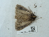  ( - NHMUK014584900)  @11 [ ] Unspecified (default): All Rights Reserved  Unspecified Unspecified