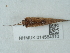  ( - NHMUK014584910)  @11 [ ] Unspecified (default): All Rights Reserved  Unspecified Unspecified