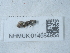  ( - NHMUK014584954)  @11 [ ] Unspecified (default): All Rights Reserved  Unspecified Unspecified