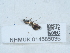  ( - NHMUK014585035)  @11 [ ] Unspecified (default): All Rights Reserved  Unspecified Unspecified