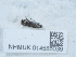  ( - NHMUK014585039)  @11 [ ] Unspecified (default): All Rights Reserved  Unspecified Unspecified