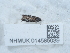  ( - NHMUK014585039)  @11 [ ] Unspecified (default): All Rights Reserved  Unspecified Unspecified