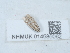  ( - NHMUK014585062)  @11 [ ] Unspecified (default): All Rights Reserved  Unspecified Unspecified