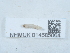  ( - NHMUK014585064)  @11 [ ] Unspecified (default): All Rights Reserved  Unspecified Unspecified