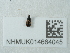  ( - NHMUK014664045)  @11 [ ] Unspecified (default): All Rights Reserved  Unspecified Unspecified