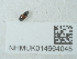  ( - NHMUK014664045)  @11 [ ] Unspecified (default): All Rights Reserved  Unspecified Unspecified
