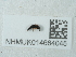  ( - NHMUK014664045)  @11 [ ] Unspecified (default): All Rights Reserved  Unspecified Unspecified