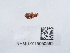 ( - NHMUK015050582)  @11 [ ] Unspecified (default): All Rights Reserved  Unspecified Unspecified