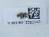  ( - NHMUK015050590)  @11 [ ] Unspecified (default): All Rights Reserved  Unspecified Unspecified
