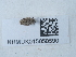  ( - NHMUK015050590)  @11 [ ] Unspecified (default): All Rights Reserved  Unspecified Unspecified