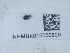  ( - NHMUK015050609)  @11 [ ] Unspecified (default): All Rights Reserved  Unspecified Unspecified