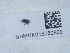  ( - NHMUK015050609)  @11 [ ] Unspecified (default): All Rights Reserved  Unspecified Unspecified