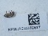  ( - NHMUK015050617)  @11 [ ] Unspecified (default): All Rights Reserved  Unspecified Unspecified