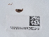  ( - NHMUK015050642)  @11 [ ] Unspecified (default): All Rights Reserved  Unspecified Unspecified