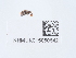  ( - NHMUK015050642)  @11 [ ] Unspecified (default): All Rights Reserved  Unspecified Unspecified
