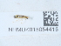  ( - NHMUK015054415)  @11 [ ] Unspecified (default): All Rights Reserved  Unspecified Unspecified
