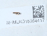  ( - NHMUK015054417)  @11 [ ] Unspecified (default): All Rights Reserved  Unspecified Unspecified