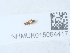  ( - NHMUK015054417)  @11 [ ] Unspecified (default): All Rights Reserved  Unspecified Unspecified