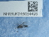  ( - NHMUK015054493)  @11 [ ] Unspecified (default): All Rights Reserved  Unspecified Unspecified