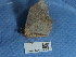  ( - NHMUK015054509)  @11 [ ] Unspecified (default): All Rights Reserved  Unspecified Unspecified