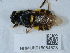  ( - NHMUK015054523)  @11 [ ] Unspecified (default): All Rights Reserved  Unspecified Unspecified