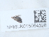  ( - NHMUK015054528)  @11 [ ] Unspecified (default): All Rights Reserved  Unspecified Unspecified