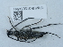 ( - NHMUK015054541)  @11 [ ] Unspecified (default): All Rights Reserved  Unspecified Unspecified