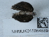  ( - NHMUK015054589)  @11 [ ] Unspecified (default): All Rights Reserved  Unspecified Unspecified