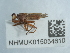  ( - NHMUK015054610)  @11 [ ] Unspecified (default): All Rights Reserved  Unspecified Unspecified