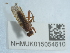  ( - NHMUK015054610)  @11 [ ] Unspecified (default): All Rights Reserved  Unspecified Unspecified