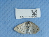  ( - NHMUK015054647)  @11 [ ] Unspecified (default): All Rights Reserved  Unspecified Unspecified