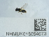  ( - NHMUK015054673)  @11 [ ] Unspecified (default): All Rights Reserved  Unspecified Unspecified