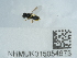  ( - NHMUK015054673)  @11 [ ] Unspecified (default): All Rights Reserved  Unspecified Unspecified