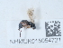 ( - NHMUK015054721)  @11 [ ] Unspecified (default): All Rights Reserved  Unspecified Unspecified