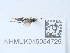  ( - NHMUK015054729)  @11 [ ] Unspecified (default): All Rights Reserved  Unspecified Unspecified