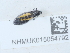  ( - NHMUK015054792)  @11 [ ] Unspecified (default): All Rights Reserved  Unspecified Unspecified