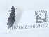  ( - NHMUK015054792)  @11 [ ] Unspecified (default): All Rights Reserved  Unspecified Unspecified