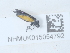  ( - NHMUK015054792)  @11 [ ] Unspecified (default): All Rights Reserved  Unspecified Unspecified