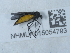  ( - NHMUK015054793)  @11 [ ] Unspecified (default): All Rights Reserved  Unspecified Unspecified