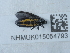  ( - NHMUK015054793)  @11 [ ] Unspecified (default): All Rights Reserved  Unspecified Unspecified
