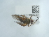  ( - NHMUK015058584)  @11 [ ] Unspecified (default): All Rights Reserved  Unspecified Unspecified