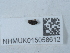  ( - NHMUK015058612)  @11 [ ] Unspecified (default): All Rights Reserved  Unspecified Unspecified