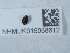  ( - NHMUK015058612)  @11 [ ] Unspecified (default): All Rights Reserved  Unspecified Unspecified